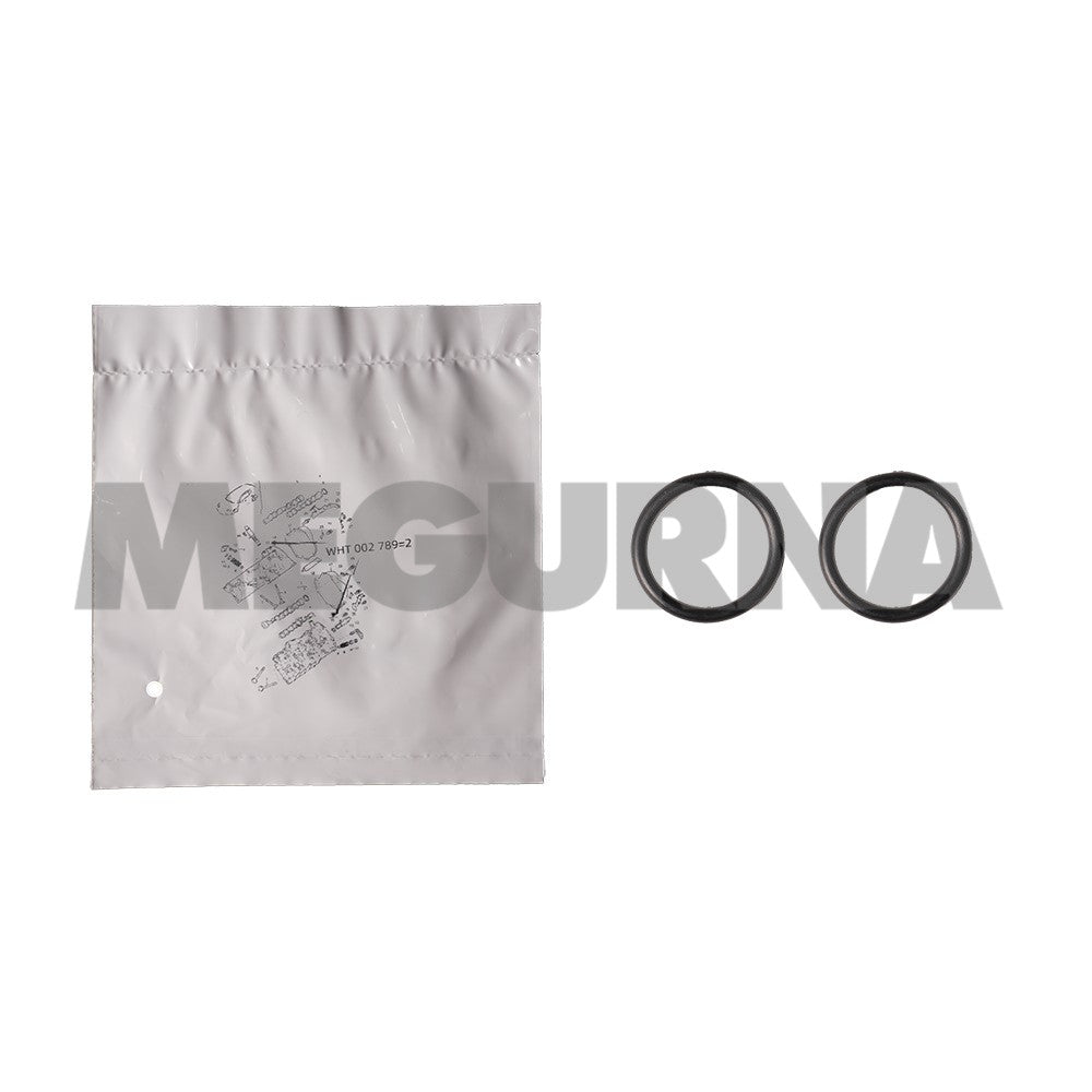 VW Seal ring WHT 002 789