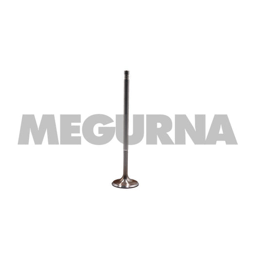 VW  Intake valve  022 109 601 AK