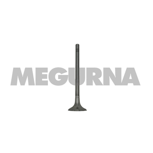 VW  Exhaust valve  03L 109 611