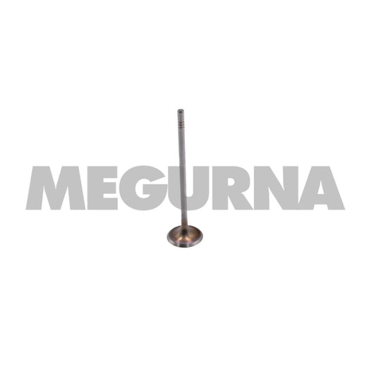 VW  Intake valve  04E 109 601 AJ