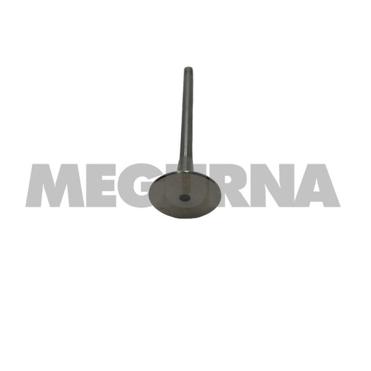 VW  Exhaust valve  06D 109 611 H