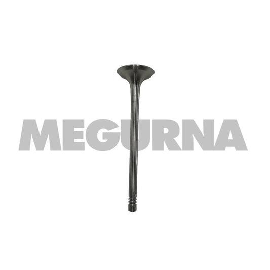 VW  Exhaust valve  06E 109 611 G