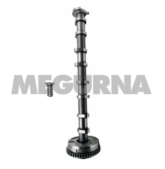 VW  Camshaft  06J 109 021 AD