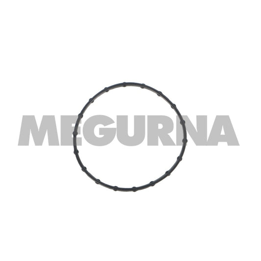 VW  Vacuum pump gasket  06M 145 113