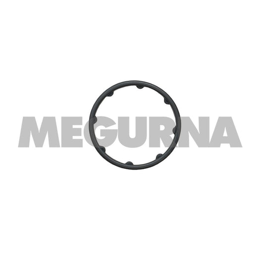 BMW  Gasket - water pump  11 53 9 430 898