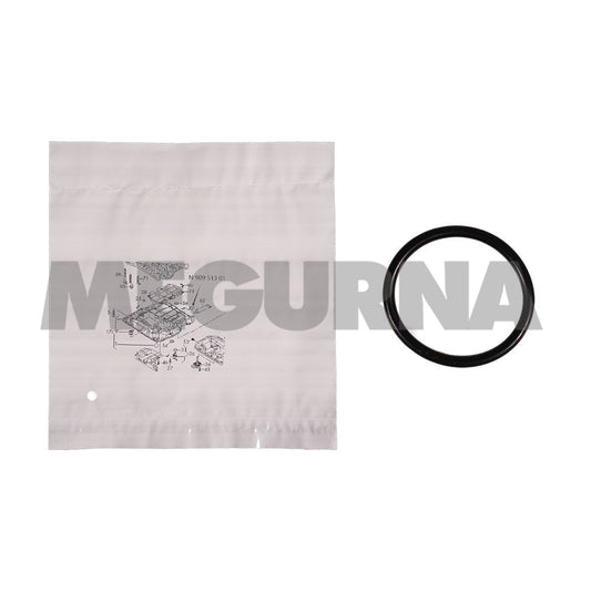 VW  Seal ring  N 909 513 01